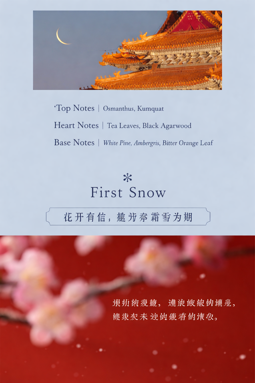 translated:27447caa_abf01361-998a-4d52-a246-9f4b1dbe6a5e