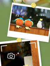 translated:9753fcde_31edff16-33dd-4489-92de-b32e308a14dc