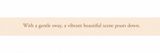 translated:a3778485_a3acf406-ed89-4a63-8d1c-7ae7f59f844f